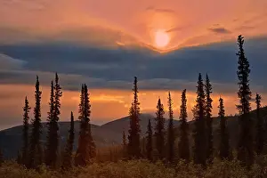Evergreen Prints: Ogilvie Mountains at km 167 on the Dempster Highway Dempster Highway Yukon, Canada