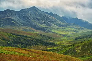 Northern Canada Collection: Ogilvie Mountains, part of the Yukon Ranges. Dempster Highway