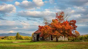 Abandoned Prints: Old barn in autumn, Green Mountains, Northeast Kingdom, Guildhall, Vermont, USA