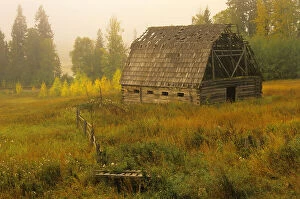 Barns Collection: Old barn and fog at sunrise Near Golden, British Columbia, Canada