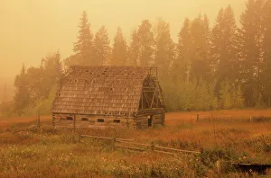 Barn Prints: old barn in morning fog near Golden, British Columbia, Canada