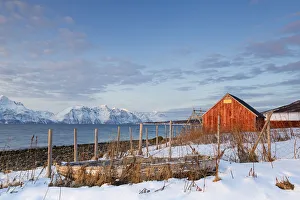 Nord Prints: An old boat and red fishermens houses overlooking the fjord. Nordmannvik, Kafjord