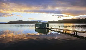 Chris Gin Prints: Old boat shed at Hoopers Inlet, Otago Peninsula, New Zealand