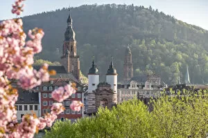 Images Dated 8th April 2017: Old Bridge in Heidelberg in spring, Baden-Wurttemberg, Germany