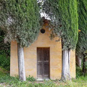 Lucignano Dasso Prints: Old chapel and cypress trees, near Lucignano d'Asso, Province of Siena, Tuscany, Italy