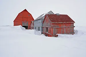 Vintage Old Historical Prints: Old farmstead Rowatt Saskatchewan, Canada