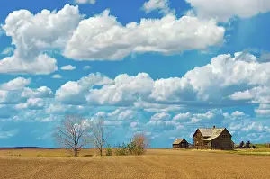 Industry Prints: Old farmstead on th eprairie South East Alberta (near Jenner), Alberta, Canada