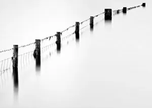 Images Dated 26th June 2012: Old fence, Derwentwater, Cumbria, UK