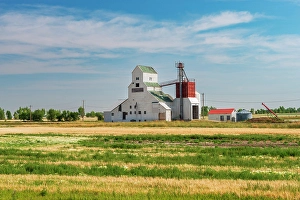 Prairies Prints: Old grain elevator Barons, Alberta, Canada