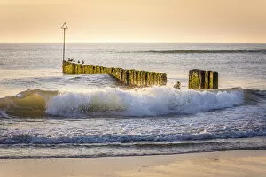 Images Dated 4th October 2021: Old groynes on Kampen West Beach at sunset, Sylt, Schleswig-Holstein, Germany