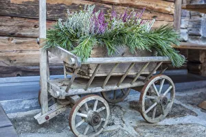 Mountain Farm Prints: Old handcart on the farm Alberhof in Kalkstein, Innervillgraten, Villgraten valley