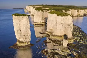 Studland Prints: Old Harry Rocks on the Jurassic Coast World Heritage Site, Studland, Dorset, England