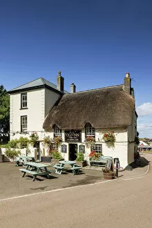 Images Dated 3rd October 2022: The Old Inn, Mullion, Cornwall, England, UK
