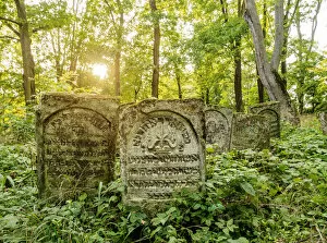 Images Dated 30th November 2020: Old Jewish Cemetery in Szczebrzeszyn, Lublin Voivodeship, Poland