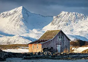 Troms Prints: Old red wooden barn (rorbu) and snow-covered mountains, Sommeroy, near Tromso, Norway