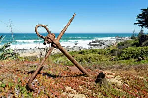 Old rusty anchor in garden by sea, Pablo Neruda Museum, Isla Negra, El Quisco, San Antonio Province, Valparaiso Region