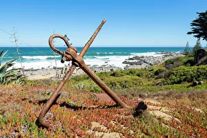 Images Dated 13th September 2022: Old rusty anchor in garden by sea, Pablo Neruda Museum, Isla Negra, El Quisco