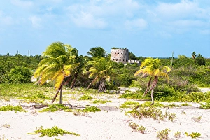 Leeward Islands Prints: Old sugar mill near a palm fringed beach