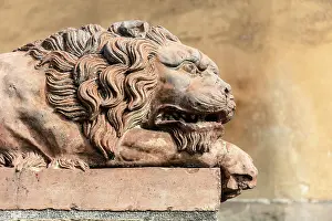 Lucignano Dasso Prints: Old terracotta lion statue, Lucignano d'Asso, Province of Siena, Tuscany, Italy