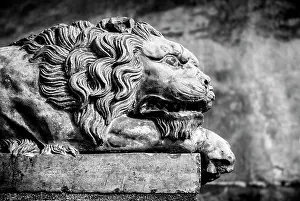Lucignano Dasso Prints: Old terracotta lion statue, Lucignano d'Asso, Province of Siena, Tuscany, Italy