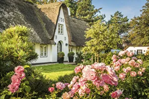 Country House Prints: Old thatched captain`s house in Keitum, Sylt, Schleswig-Holstein, Germany