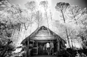 Vinales Prints: Old timber hut surrounded by trees, in infrared, Vinales, Cuba