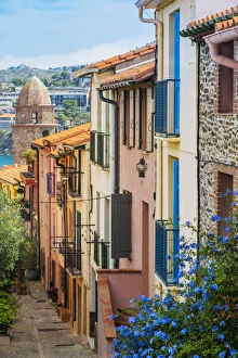 Old town street, Collioure, Languedoc-Roussillon, France