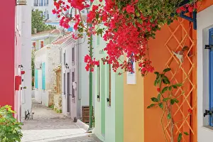 Aegean Prints: Old town street filled with Halki traditional houses and flora
