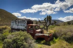 Truck Prints: Old Truck & Joshua Trees, near Mojave, California, USA