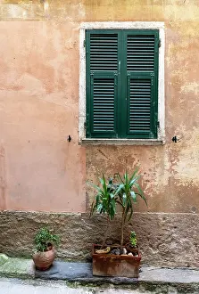 Vernazza Prints: Old wall and green shutter in the village of Vernazza