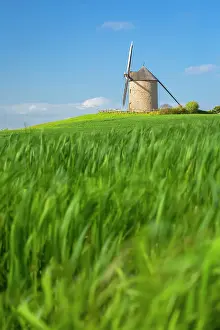 Pastures Prints: An old windmill in the countryside near Le Mont Saint Michel