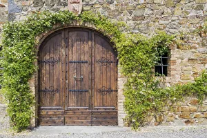 Old Wooden Door & Ivy, Tuscany, Italy