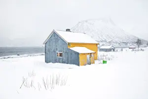 Senja Prints: Old yellow and blue timber house in the snow, Senjahopen, Senja, Norway