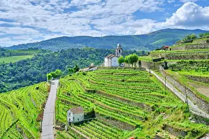 North Region Prints: Oliveira, Mes£o Frio, with the terraced vineyards and the Mar£o mountain range on the background