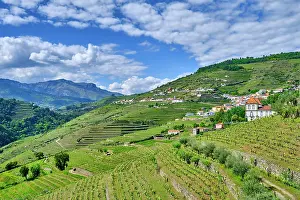 North Region Prints: Oliveira, Mes£o Frio, with the terraced vineyards and the Mar£o mountain range on the background