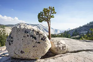 Olmsted Point located along the Tioga Road, Yosemite National Park, California, USA