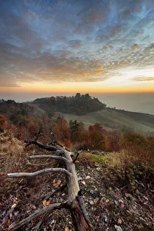 Oltrepo Prints: Oltrepo hills, Pavia province, Lombardy, Italy, Europe