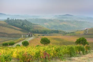 Pavia Prints: Oltrepo Pavese, Province of Pavia, Lombardy, Italy