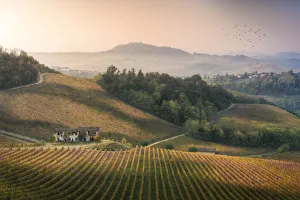 Oltrepo Pavese, Province of Pavia, Lombardy, Italy