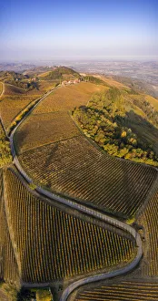 Oltrepo Pavese, Province of Pavia, Lombardy, Italy
