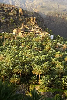 Images Dated 17th August 2011: Oman, Al Dakhiliyah, Misfat al Abriyyin village
