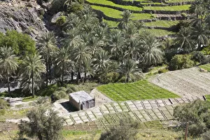 Images Dated 25th January 2019: Oman, Dakhiliyah Governate, Jebel Hajar, Balad Sayt (Bilad Sayt)