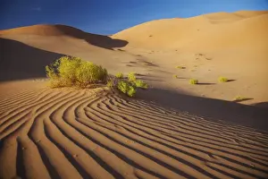 Oman Prints: Oman, Empty Quarter. The martian-like landscape of the Empty Quarter dunes