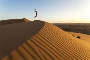 Person Gallery: Oman, Wahiba Sands. Tourist jumping on the sand dunes (MR)