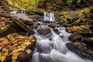 Michael Blanchette Prints: Oneida Falls in Autumn, Ricketts Glen State Park, Benton, Pennsylvania, USA
