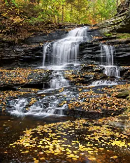 Autumn Leaf Prints: Onondaga Falls in Autumn, Ricketts Glen State Park, Benton, Pennsylvania, USA