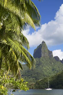 Opunohu Bay, Mo orea, Society Islands, French Polynesia