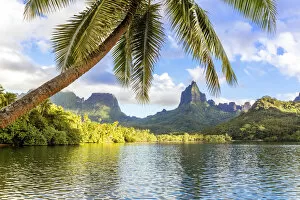 Pacific Gallery: Opunohu bay and mount Rotui, Moorea, French Polynesia