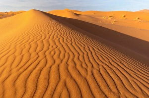 Erg Chebbi Prints: Orange sand dunes and ripples, Erg Chebbi, Sahara Desert, near Merzouga, Morocco