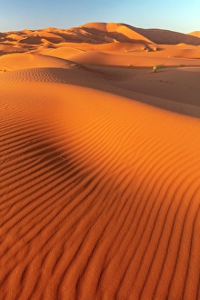 Erg Chebbi Prints: Orange sand dunes at sunset, Erg Chebbi, Sahara Desert, near Merzouga, Morocco